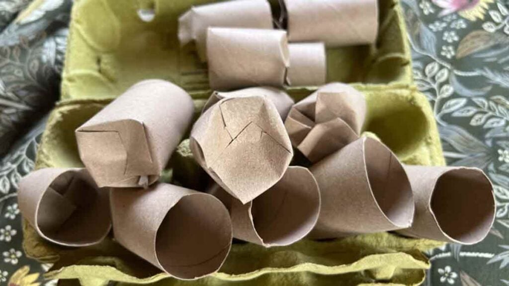 Gardeners are being urged to put toilet paper rolls in their yard in March, it’s not as strange as it sounds