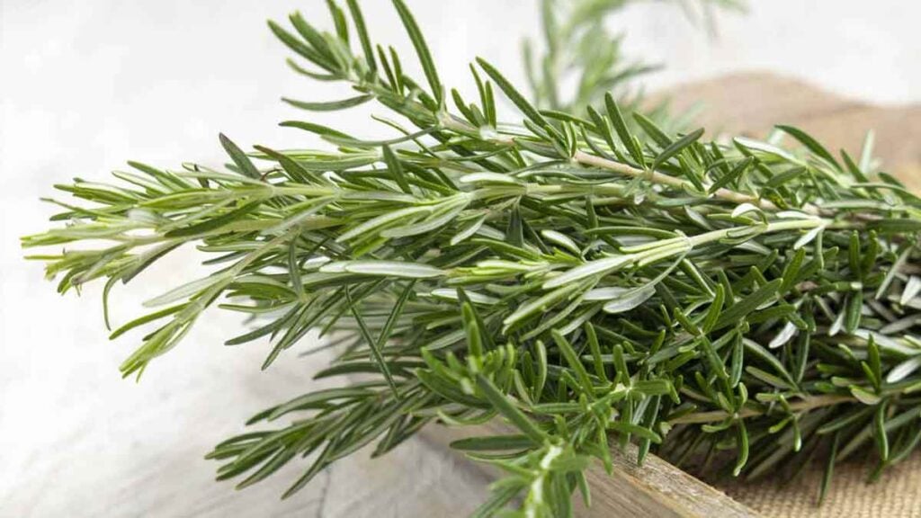 Why boiling rosemary at home can transform your daily routine in surprising ways