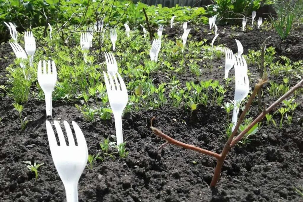 plastic fork